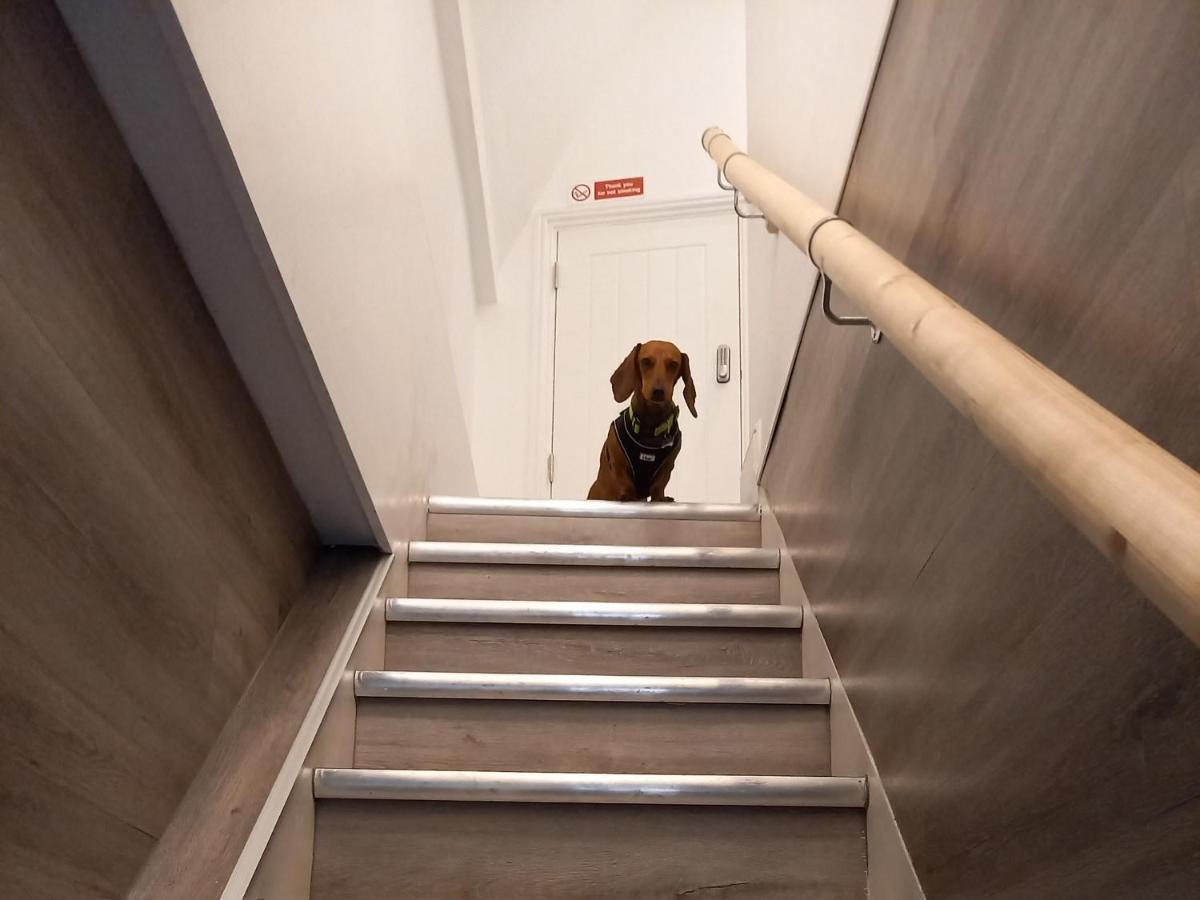 Apartament The Stannary Helston Zewnętrze zdjęcie